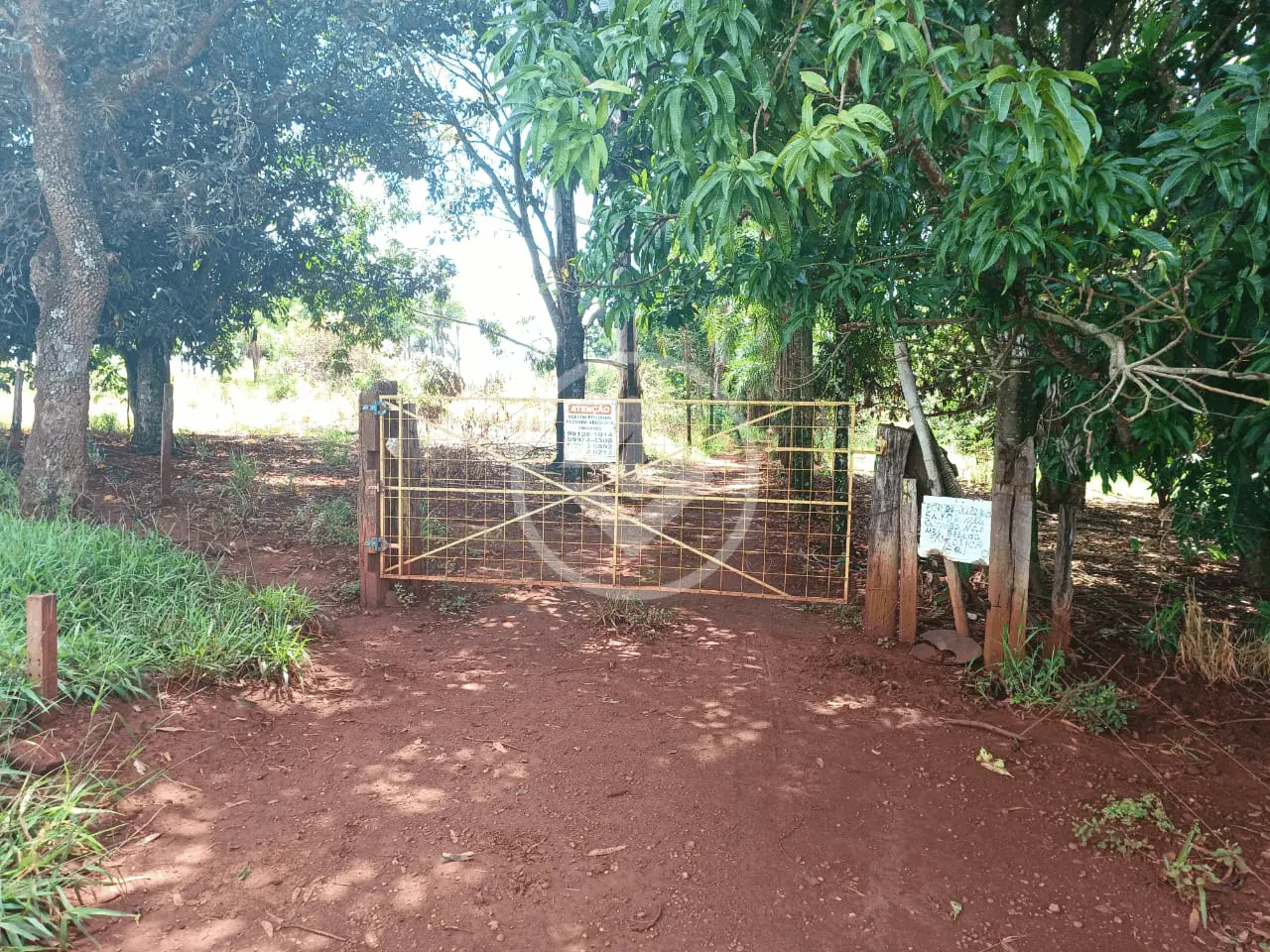 Imagem 3 - Sítio em Área Rural de Uberlândia, Uberlândia - MG