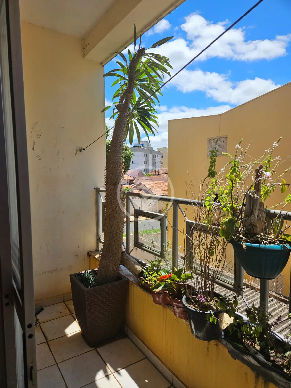 Image 10 - Apartamento em SANTA MÔNICA, Uberlândia - MG