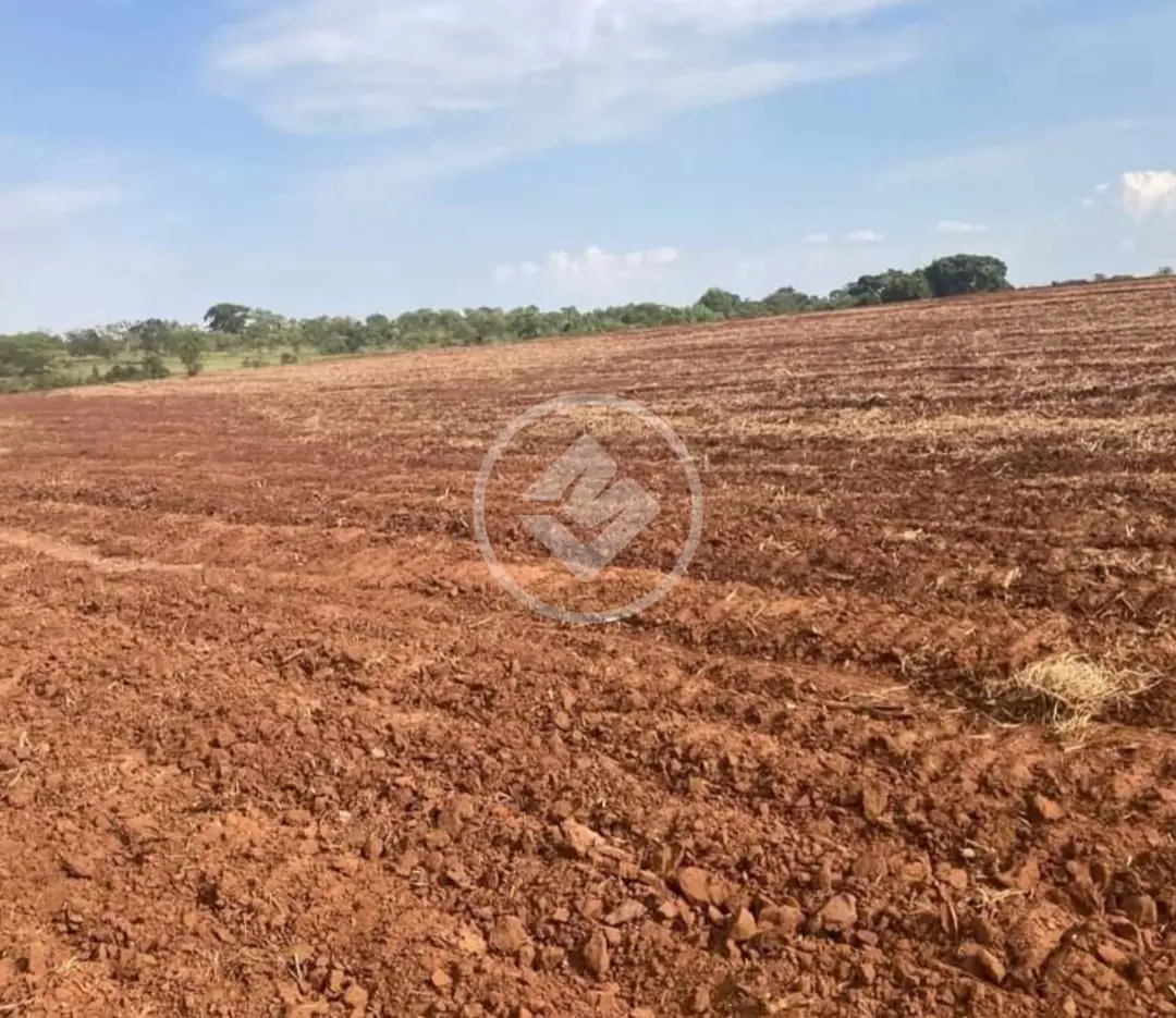 Fazenda Área Rural de Uberlândia, Uberlândia - MG — foto 1