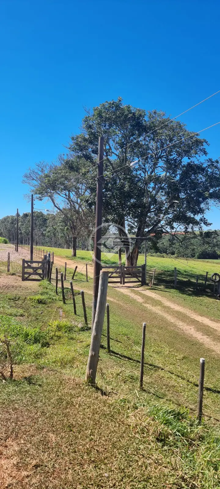 Imagem 6 - Sítio em Área Rural de Uberlândia, Uberlândia - MG