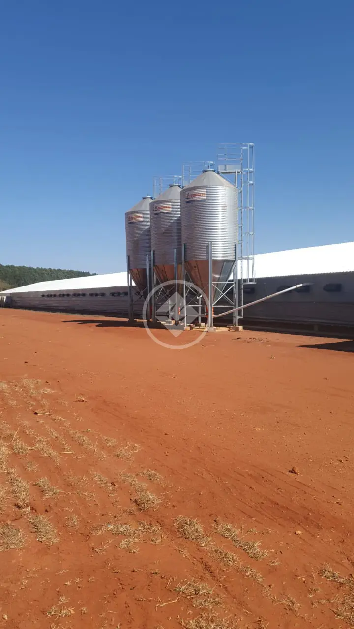 Imagem 6 - Fazenda em Área Rural de Uberlândia, Uberlândia - MG