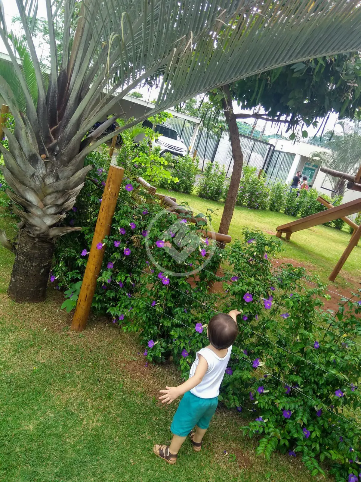 Image 12 - Apartamento em Tubalina, Uberlândia - MG