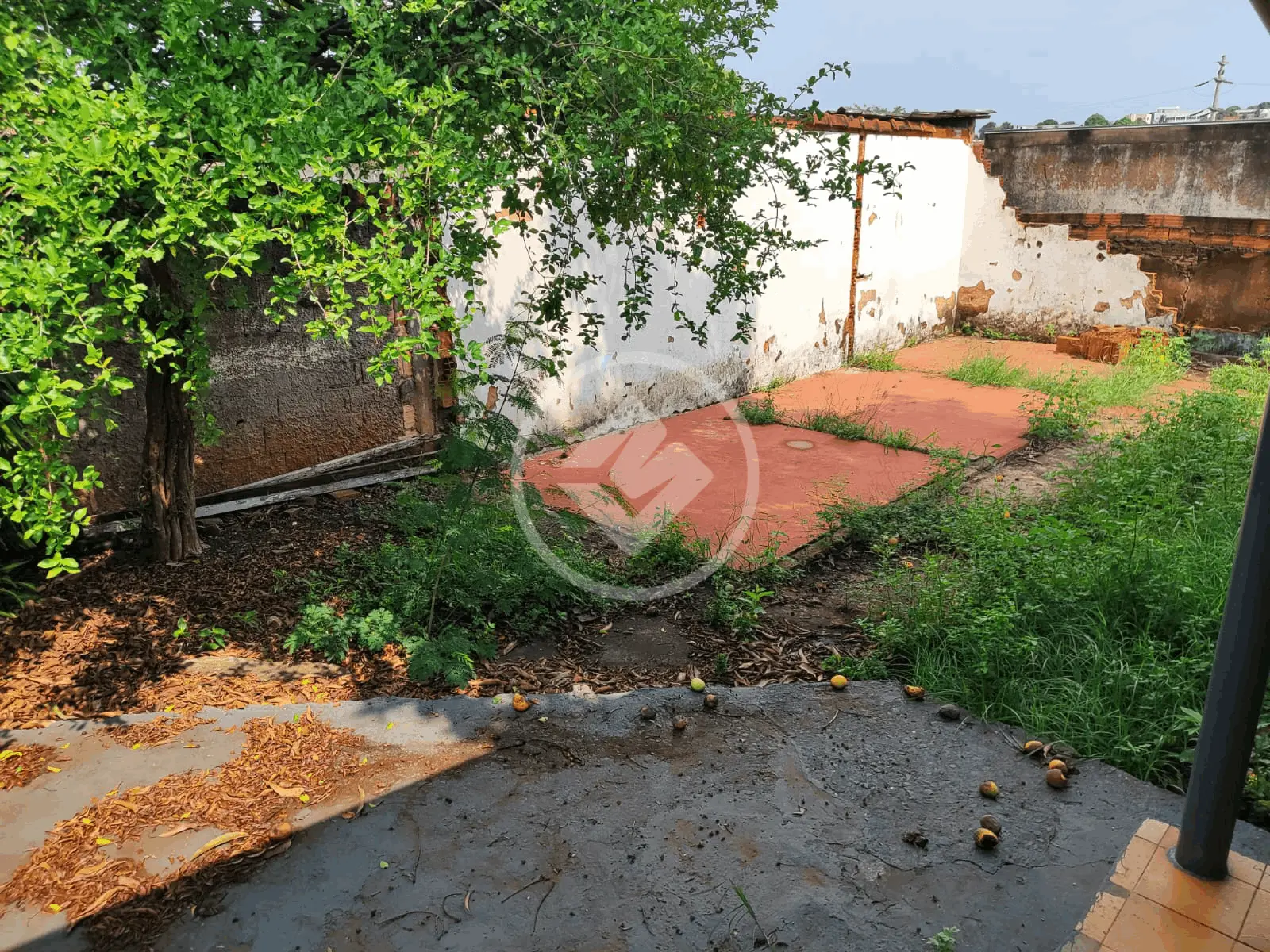 Imagem 6 - Casa em Osvaldo Rezende, Uberlândia - MG