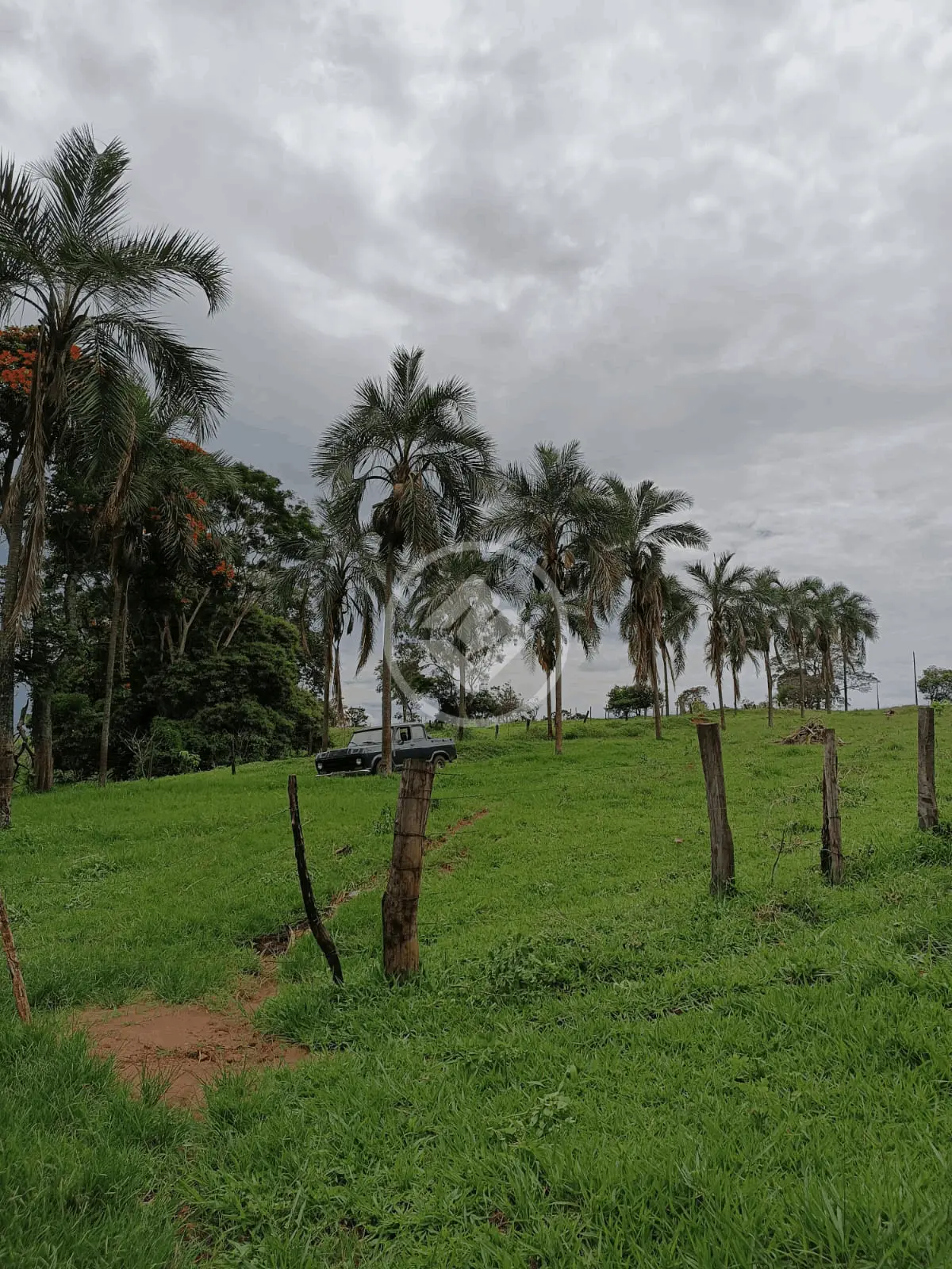 Imagem 6 - Sítio em Zona Rural, Monte Alegre de Minas - MG