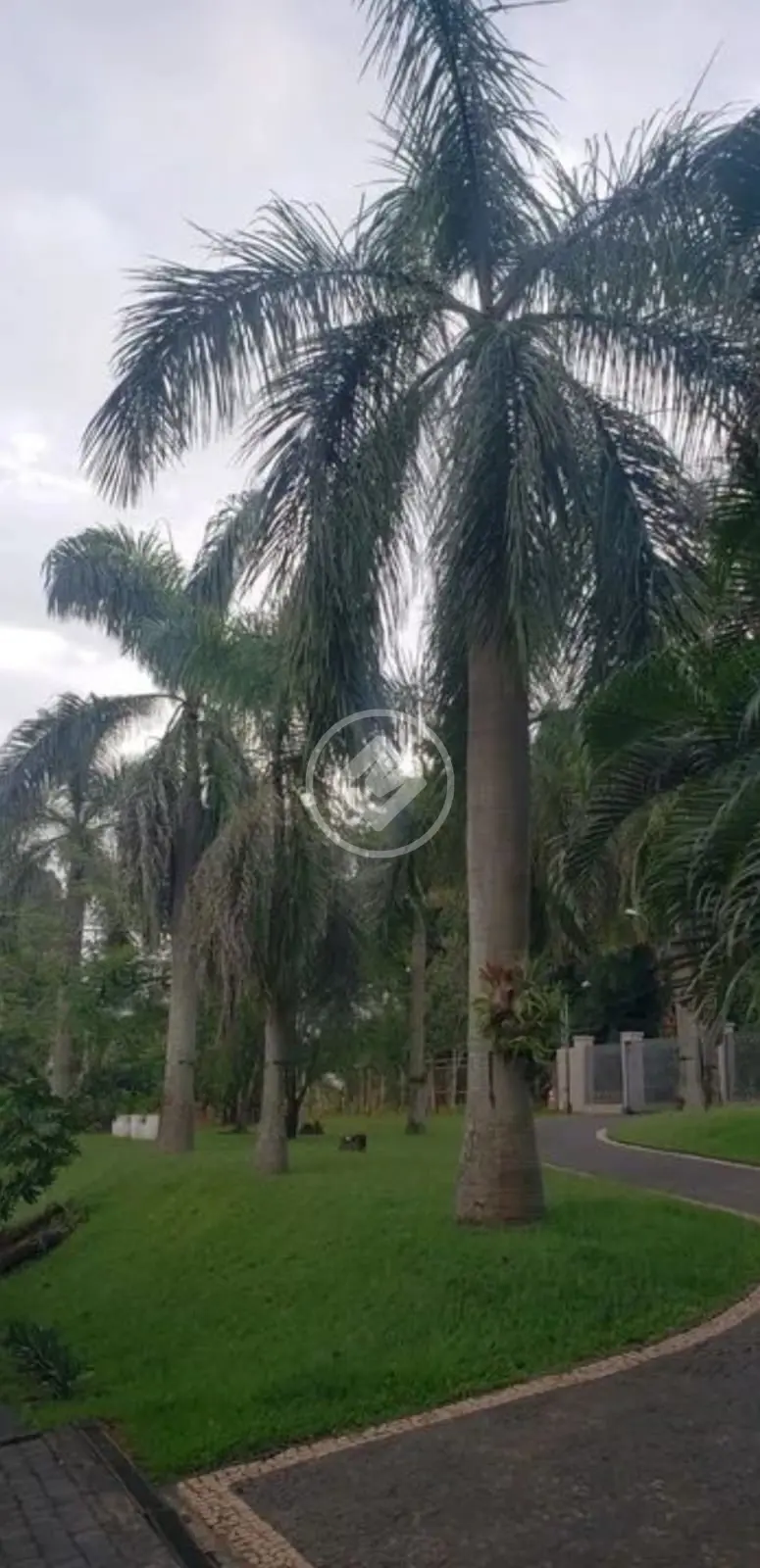 Imagem 4 - Chácara em Morada do Sol, Uberlândia - MG