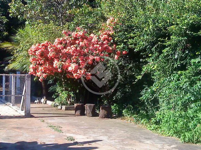 Imagem 1 - Sala Comercial em Martins, Uberlândia - MG