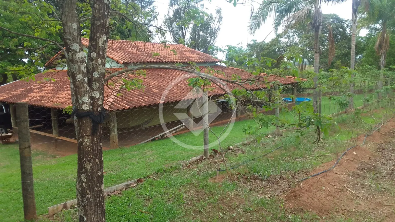 Chácara Área Rural de Uberlândia, Uberlândia - MG — foto 1