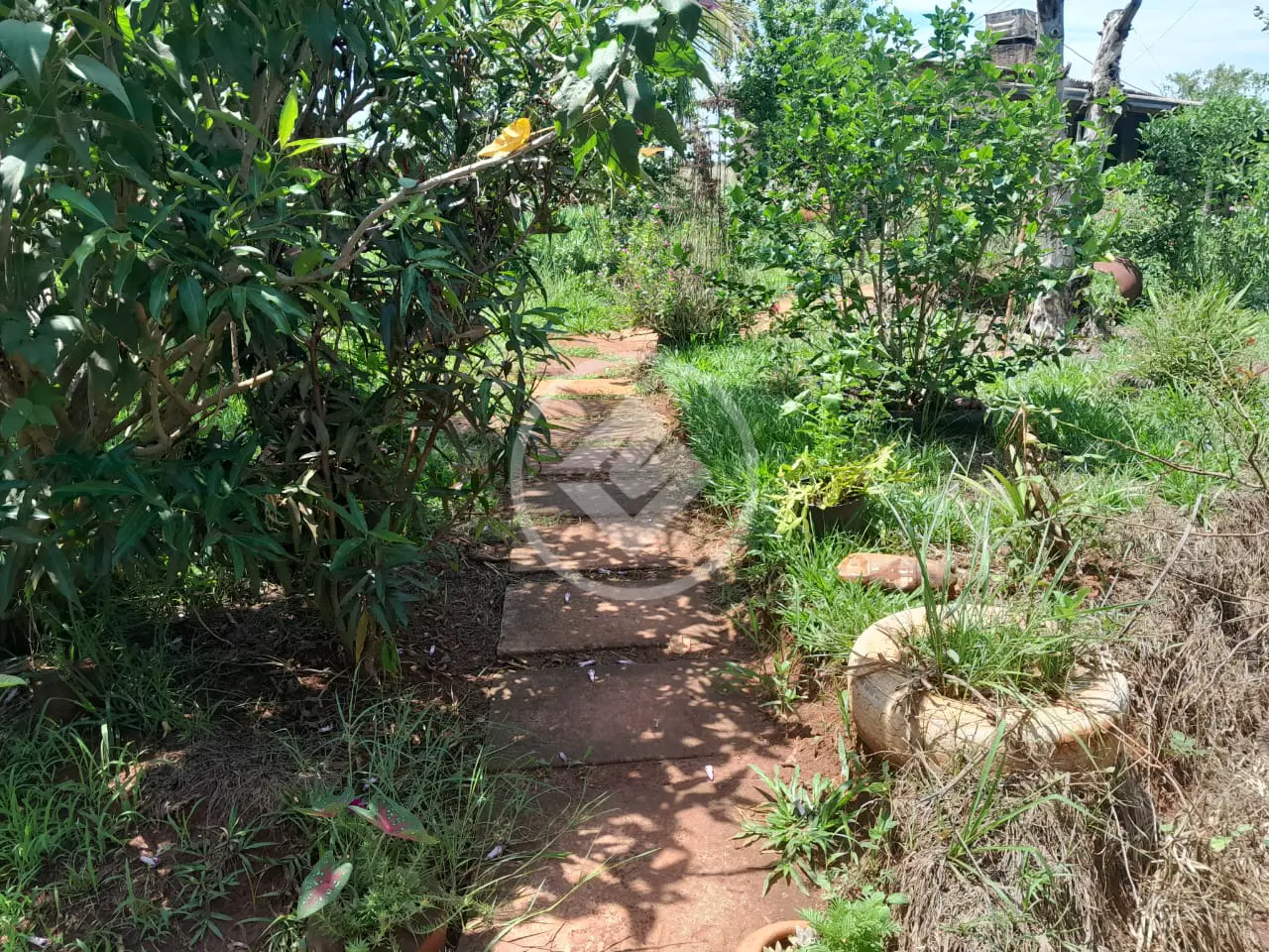 Imagem 5 - Sítio em Área Rural de Uberlândia, Uberlândia - MG