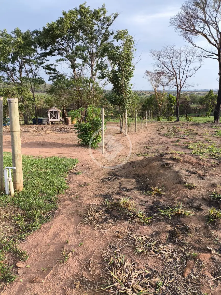 Imagem 2 - Chácara em Área Rural de Uberlândia, Uberlândia - MG