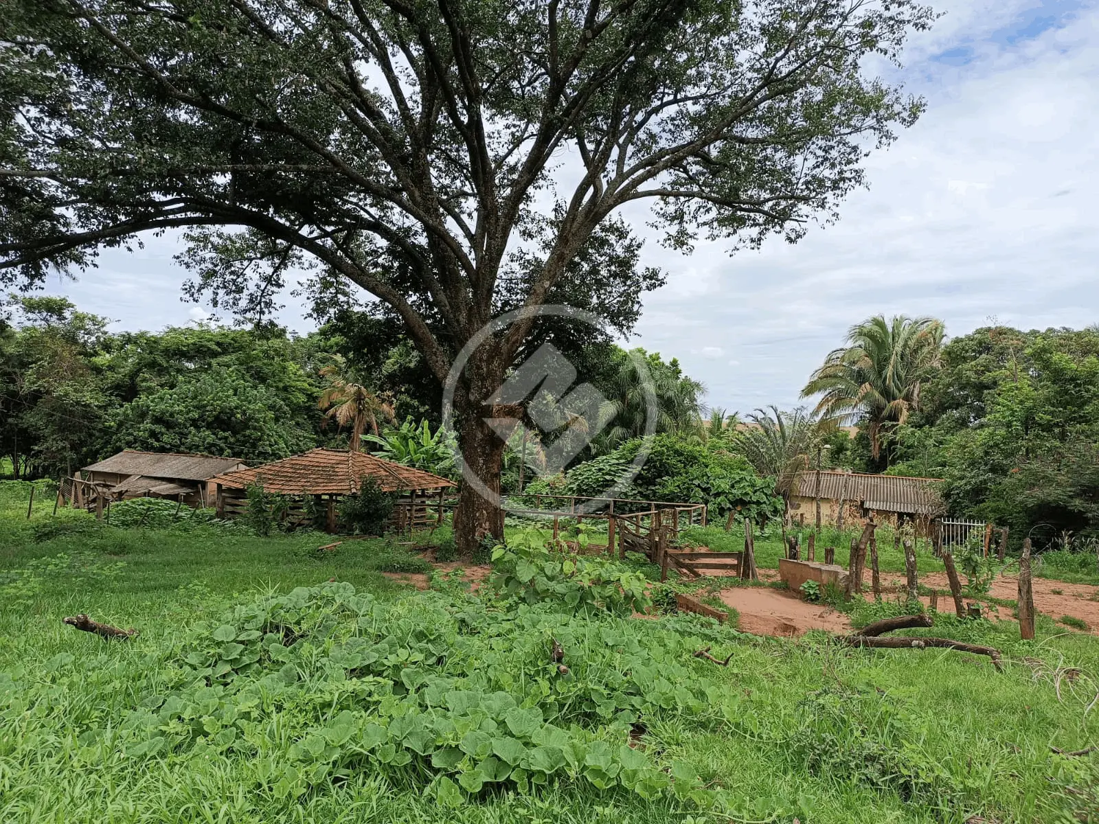 Imagem 4 - Sítio em Zona Rural, Monte Alegre de Minas - MG