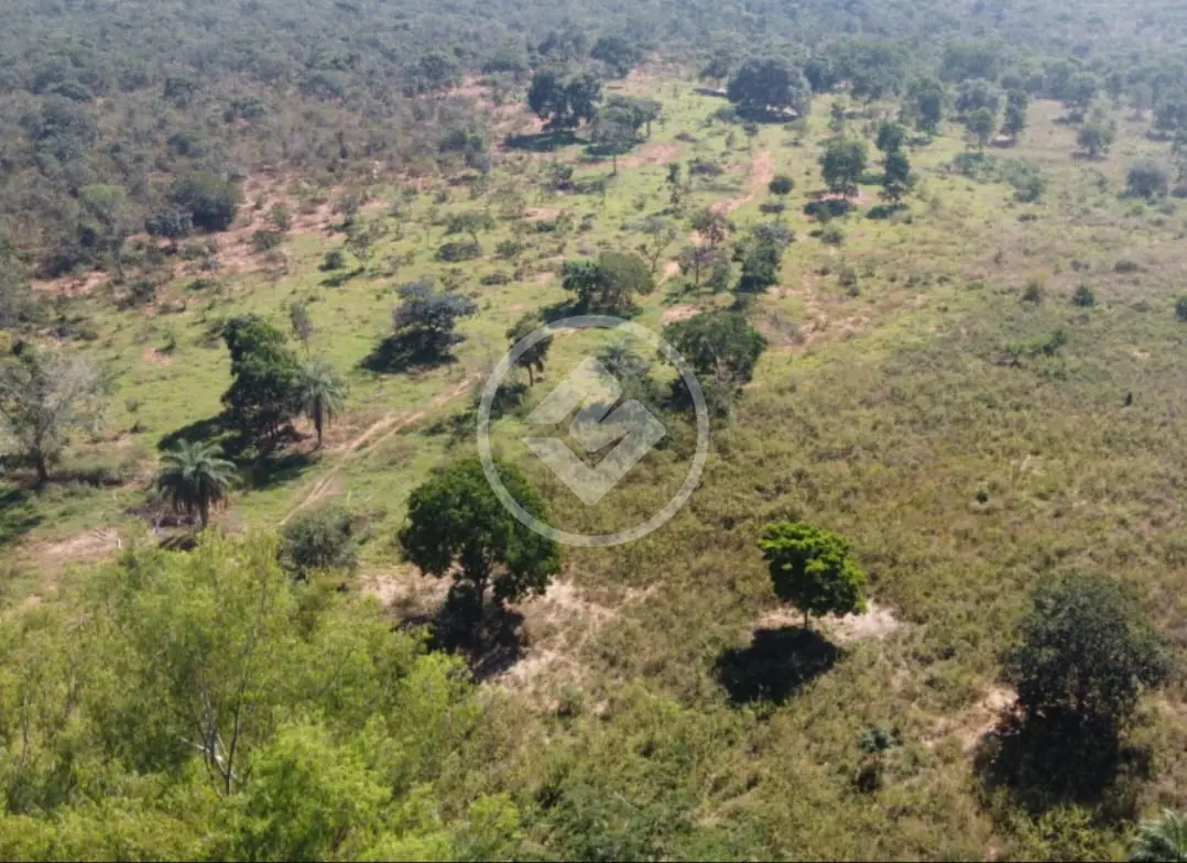 Image 18 - Fazenda em Zona rural, São Gonçalo do Abaeté - MG