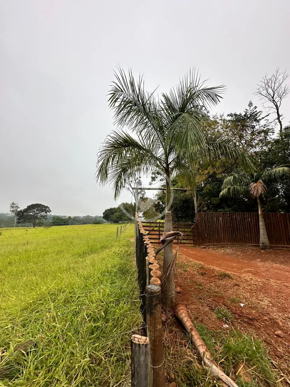 Imagem 3 - Fazenda em Zona Rural, Uberlândia - MG