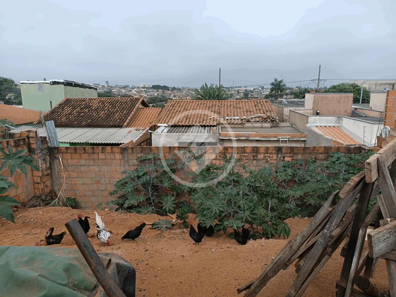 Terreno Santa Rosa, Uberlândia - MG — foto 1