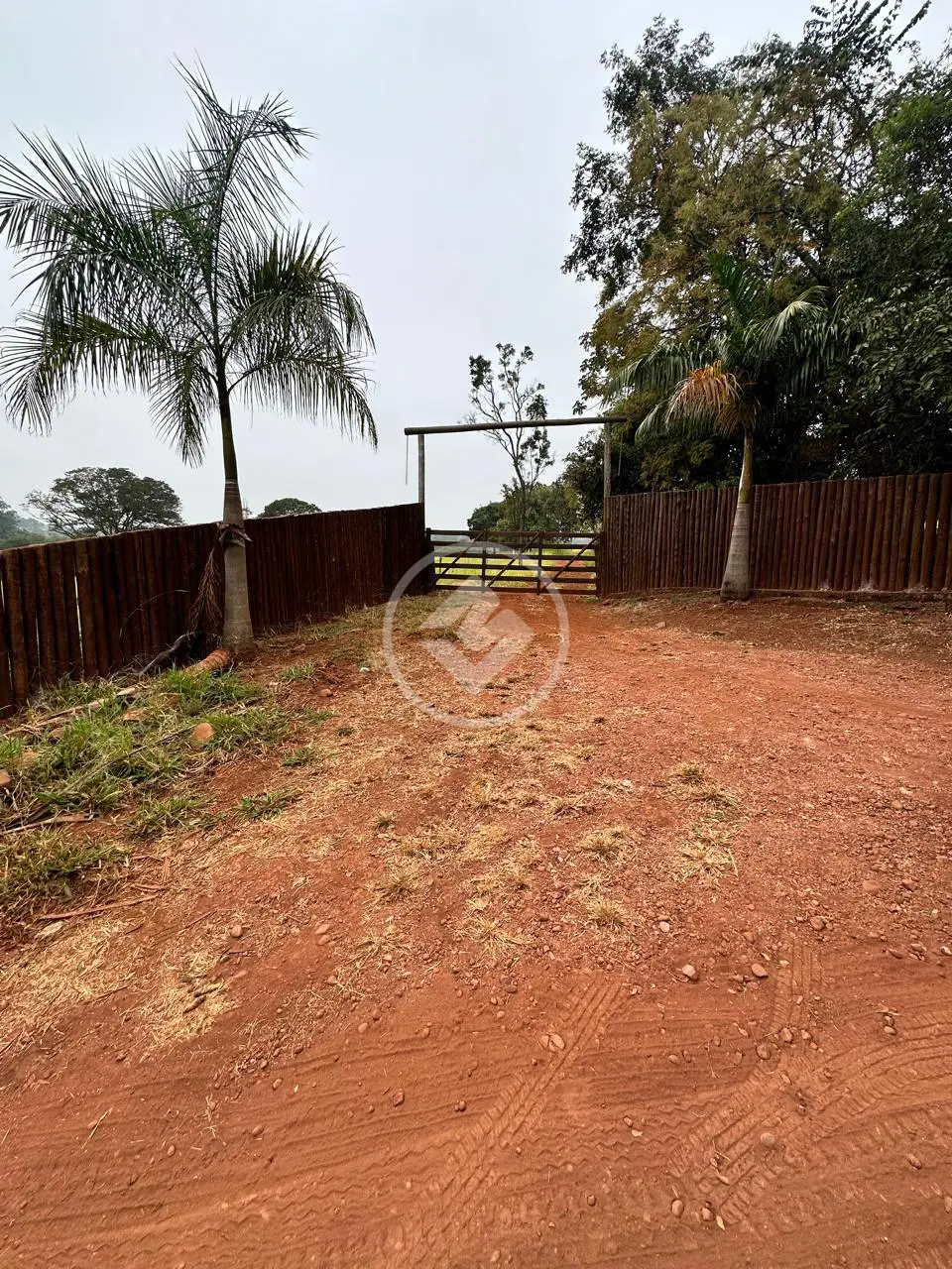 Imagem 4 - Fazenda em Zona Rural, Uberlândia - MG