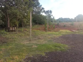 Imagem 3 - Chácara em Área Rural de Uberlândia, Uberlândia - MG