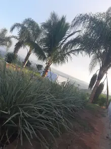 Imagem 2 - Chácara em Área Rural de Uberlândia, Uberlândia - MG