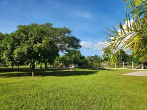 Imagem 4 - Chácara em Área Rural de Uberlândia, Uberlândia - MG