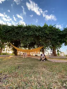 Imagem 4 - Chácara em Área Rural de Uberlândia, Uberlândia - MG