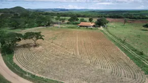 Imagem 3 - Fazenda em Centro, Coromandel - MG