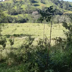 Imagem 5 - Chácara em City Uberlândia, Uberlândia - MG