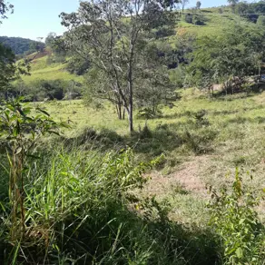 Imagem 4 - Chácara em City Uberlândia, Uberlândia - MG