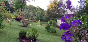 Imagem 2 - Sítio em Zona Rural, Monte Alegre de Minas - MG