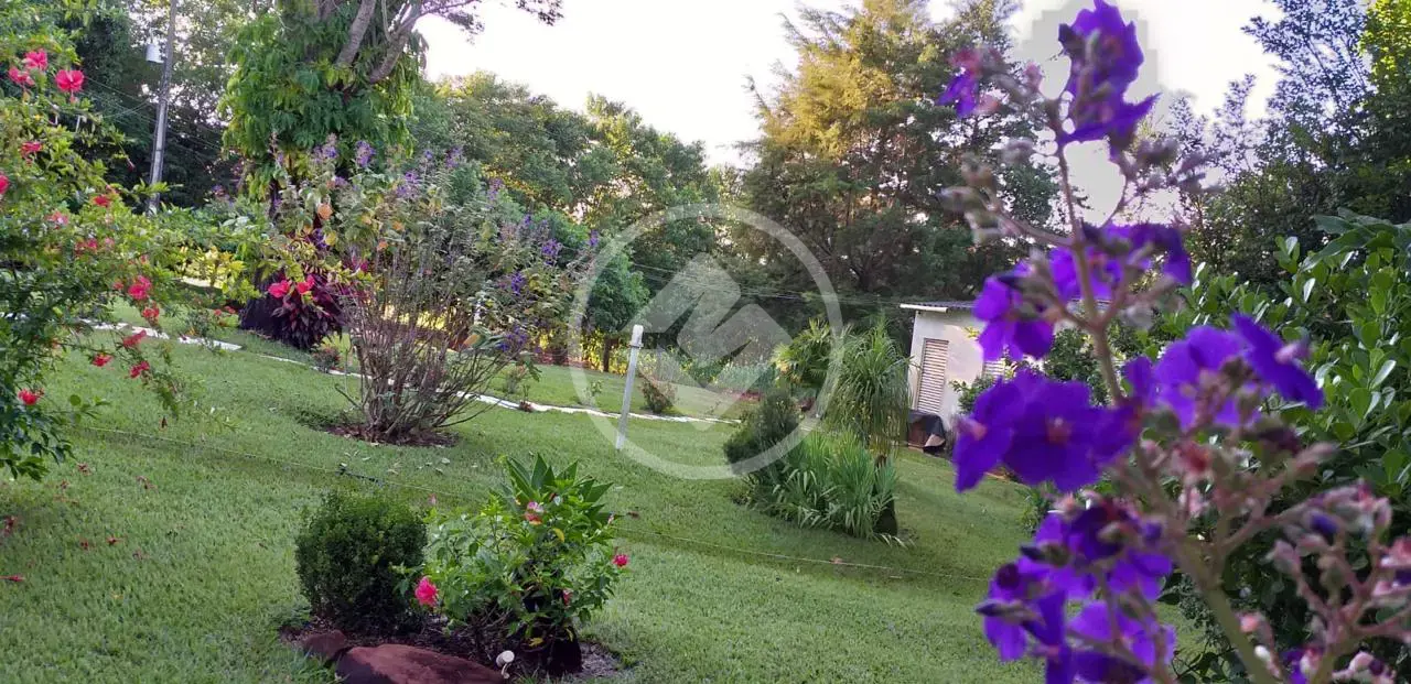 Imagem 2 - Sítio em Zona Rural, Monte Alegre de Minas - MG