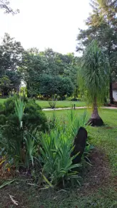 Imagem 3 - Sítio em Zona Rural, Monte Alegre de Minas - MG