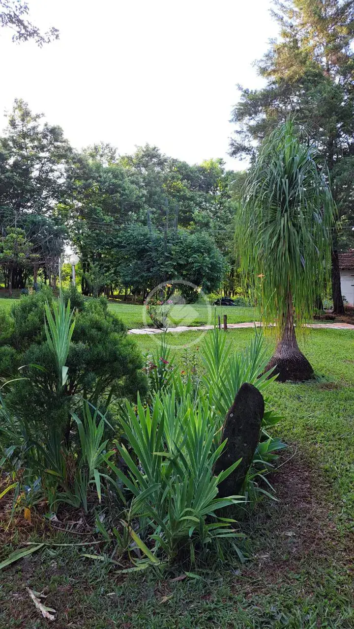 Imagem 3 - Sítio em Zona Rural, Monte Alegre de Minas - MG