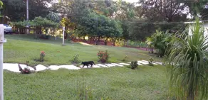 Imagem 4 - Sítio em Zona Rural, Monte Alegre de Minas - MG
