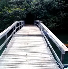 Imagem 6 - Fazenda em Área Rural de Uberlândia, Uberlândia - MG
