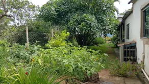 Imagem 4 - Chácara em Chácaras Bonanza, Uberlândia - MG