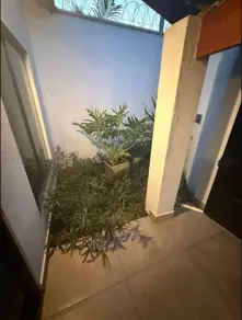 Imagem 3 - Casa em Bosque dos Buritis, Uberlândia - MG