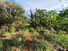 Imagem 3 - Chácara em Área Rural de Uberlândia, Uberlândia - MG