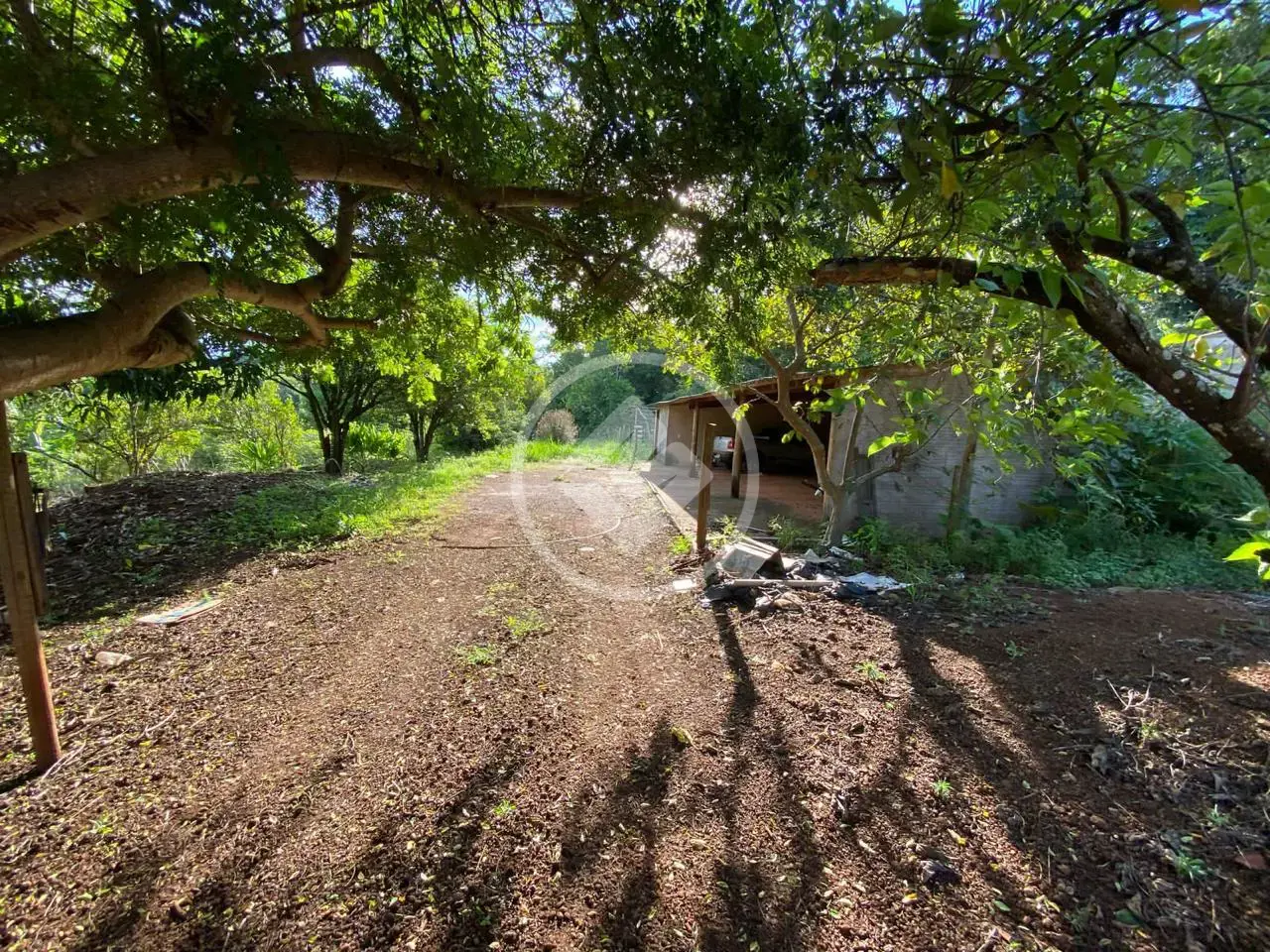 Image 2 - Chácara em Área Rural de Uberlândia, Uberlândia - MG
