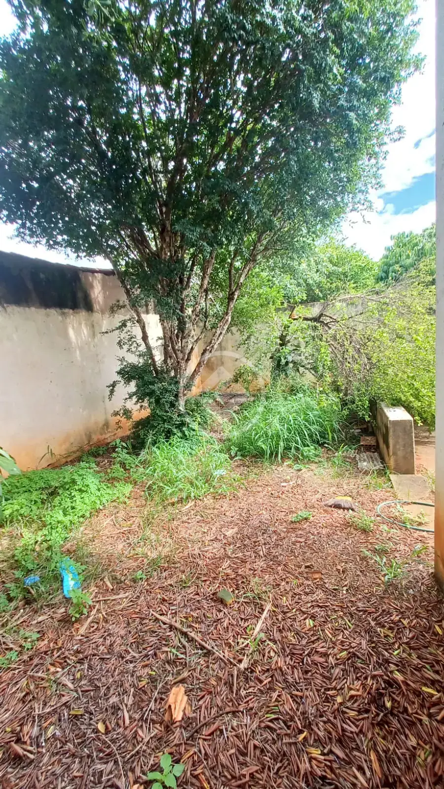 Image 16 - Casa em Santa Rosa, Uberlândia - MG