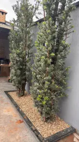 Imagem 5 - Casa em Alto Umuarama, Uberlândia - MG