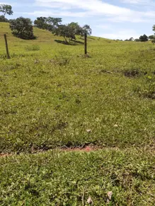 Imagem 2 - Fazenda em Zona Rural, Goiás - GO