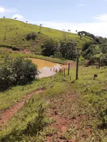 Imagem 4 - Fazenda em Zona Rural, Goiás - GO