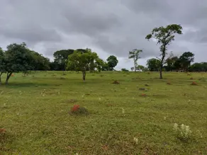 Imagem 2 - Sítio em Rural, Uberlândia - MG