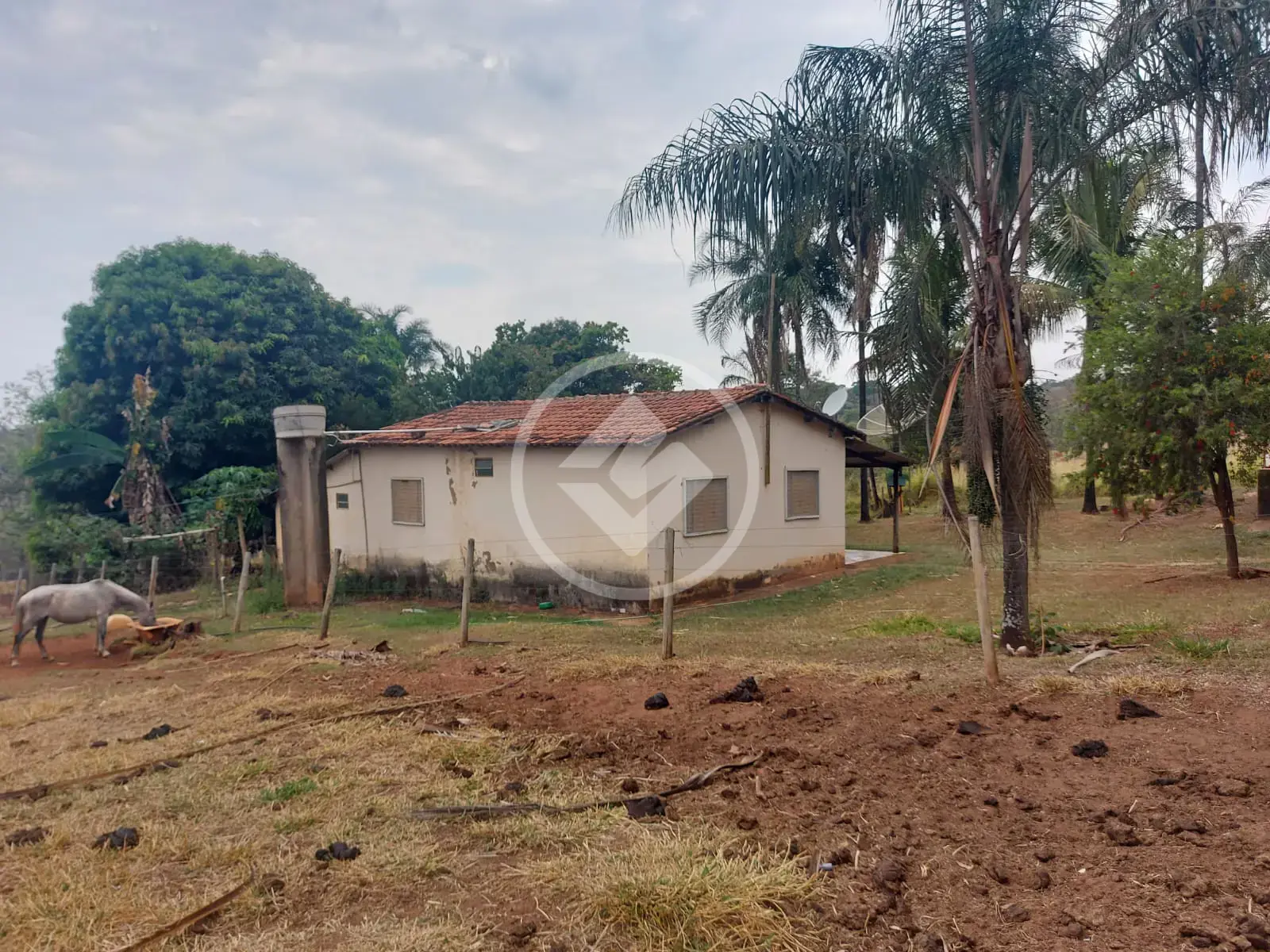 Image 6 - Sítio em Rural, Uberlândia - MG