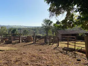Sítio Rural, Uberlândia - MG — foto 2