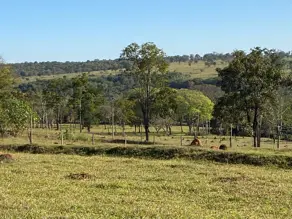 Sítio Rural, Uberlândia - MG — foto 1