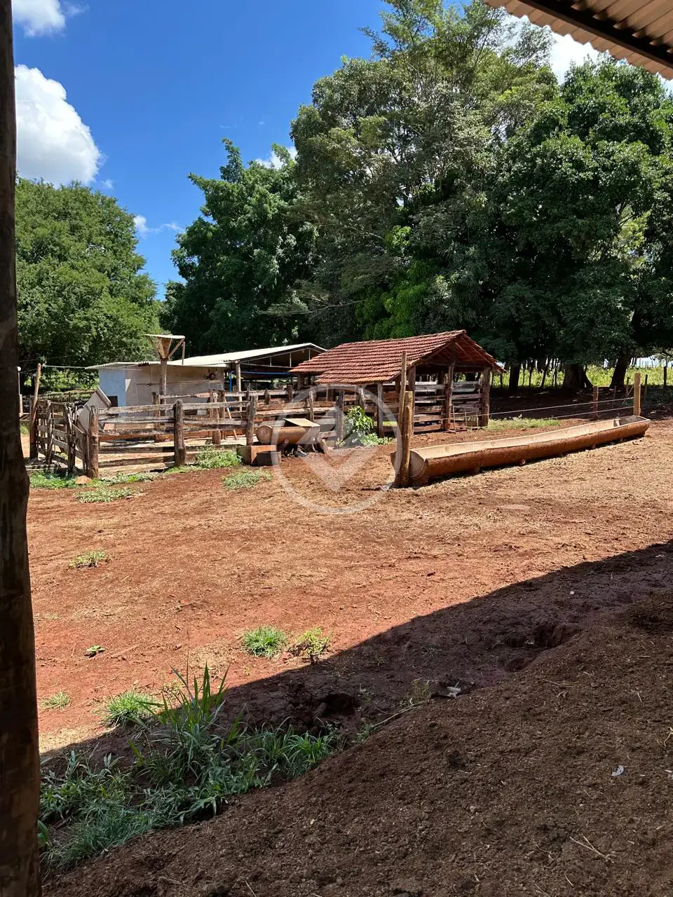 Image 2 - Sítio em Área Rural de Uberlândia, Uberlândia - MG
