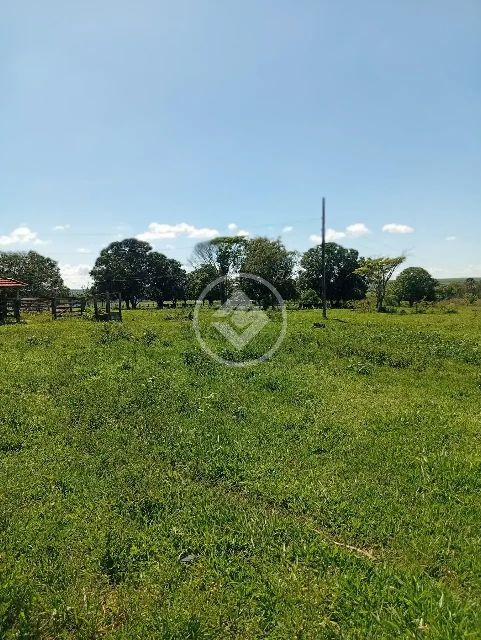 Image 19 - Sítio em Área Rural de Uberlândia, Uberlândia - MG