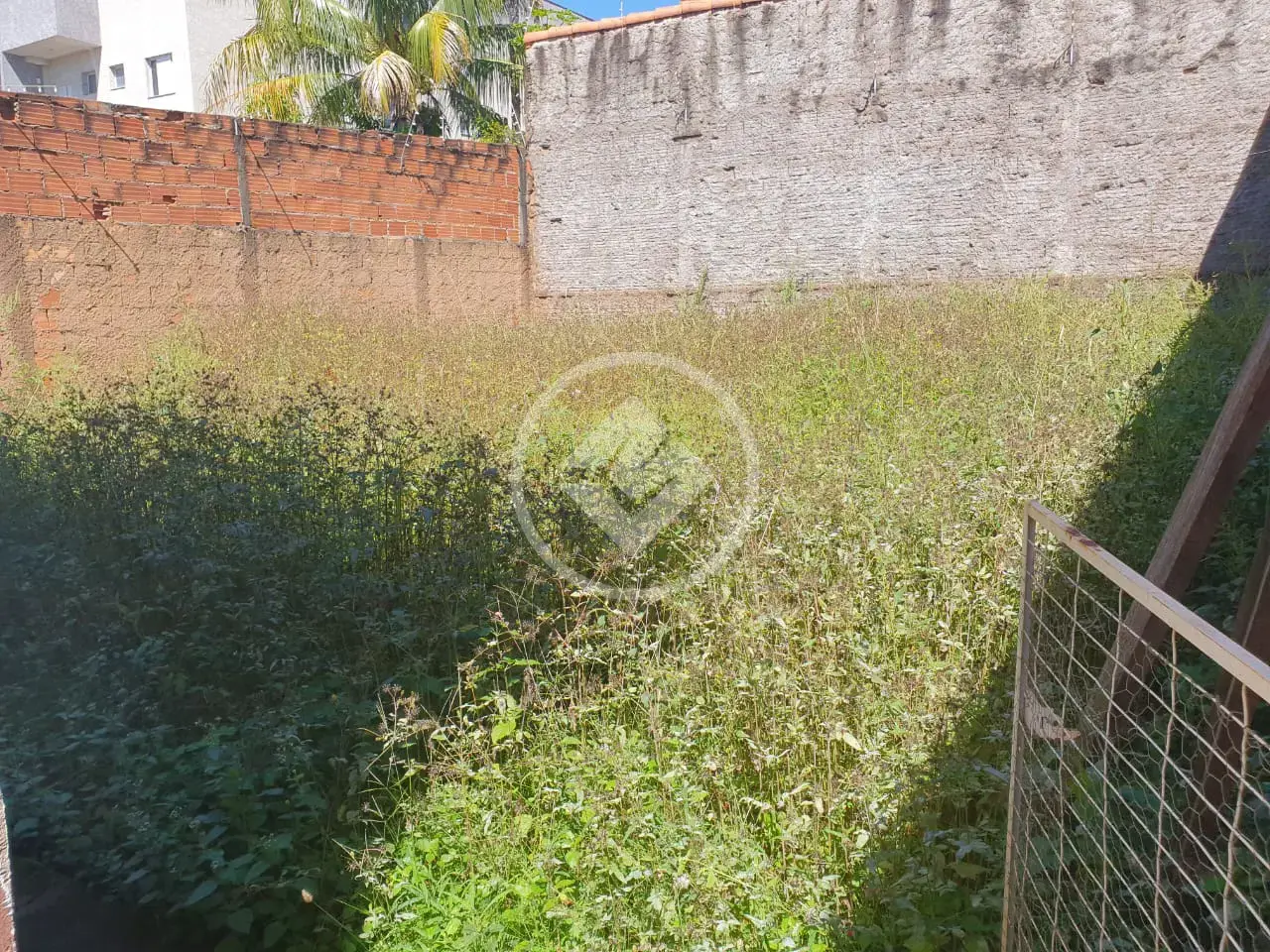 Image 15 - Casa em Dona Zulmira, Uberlândia - MG
