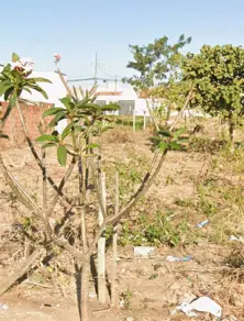 Terreno Shopping Park, Uberlândia - MG — foto 1