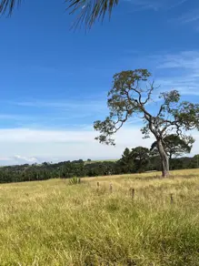 Imagem 2 - Sítio em Rural, Uberlândia - MG