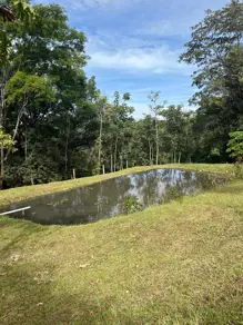 Imagem 4 - Sítio em Rural, Uberlândia - MG