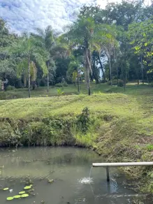 Imagem 3 - Sítio em Rural, Uberlândia - MG
